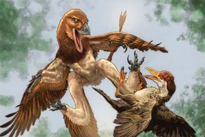„Mažas ketursparnis drakonas“: paleontologai aptiko naują ir įspūdingą dinozaurų rūšį