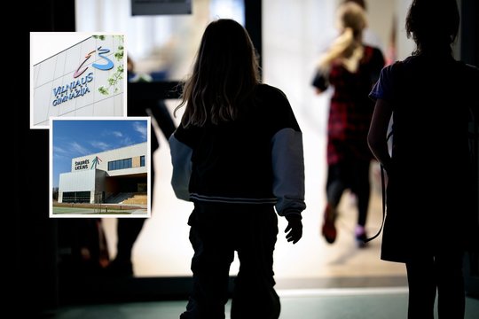 Dygstančios naujos mokyklos ir išskirtinis ugdymo modelis: pasidalijo sėkmės pavyzdžiais