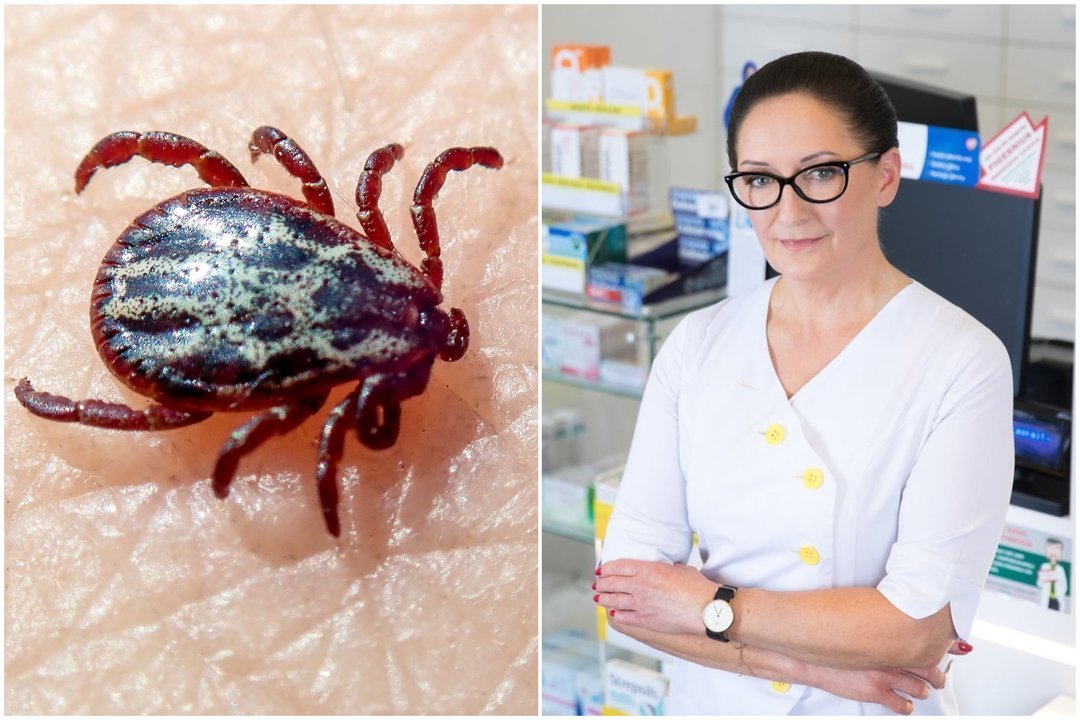 Įsisiurbė erkė? Vaistininkė įvardijo didžiausią lietuvių klaidą – į organizmą patenka daugiau nuodų