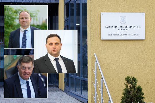 Buvę ministrai atskleidė pribloškiančių detalių apie ir S. Skvernelį įsukusį VAT skandalą
