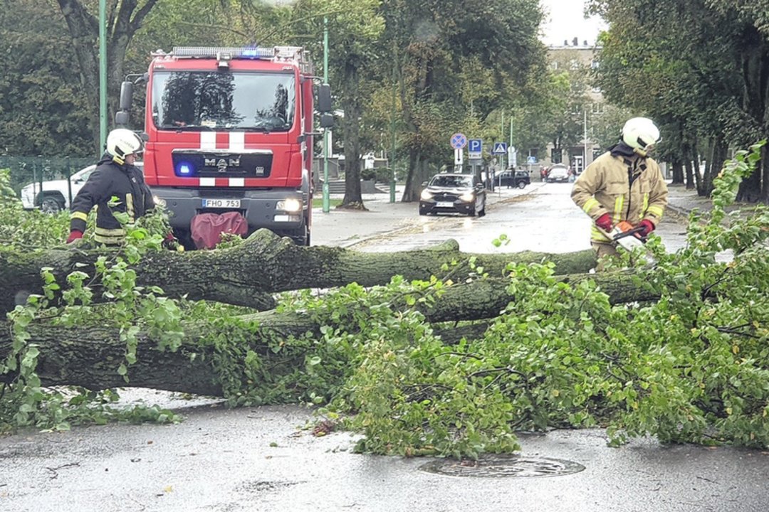 Po sudėtingų orų ugniagesiai gelbėtojai 16 kartų vyko šalinti nuvirtusių medžių