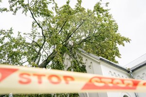 Po audringų orų Lietuvoje – dešimtys iškvietimų: ugniagesiai skubėjo šalinti medžių