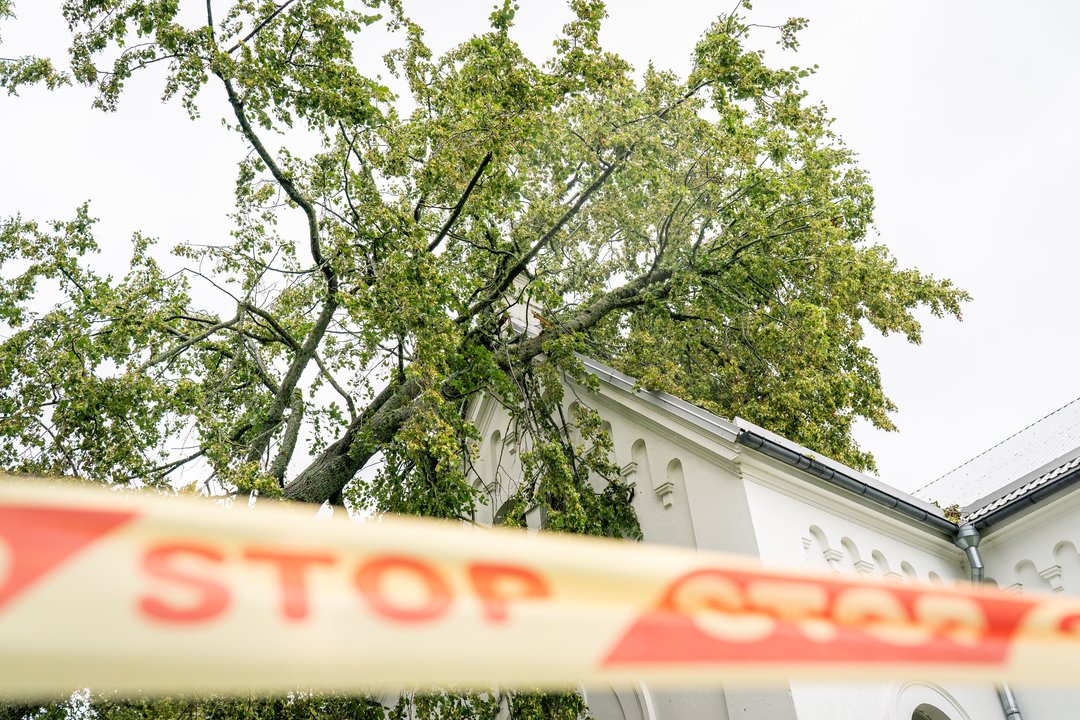 Po audringų orų Lietuvoje – dešimtys iškvietimų: ugniagesiai skubėjo šalinti medžių