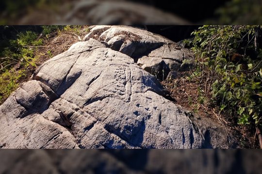 Staigmena miško tankmėje: iššifravę paslaptingus rašmenis archeologai rado tai, ko mažiausiai tikėjosi