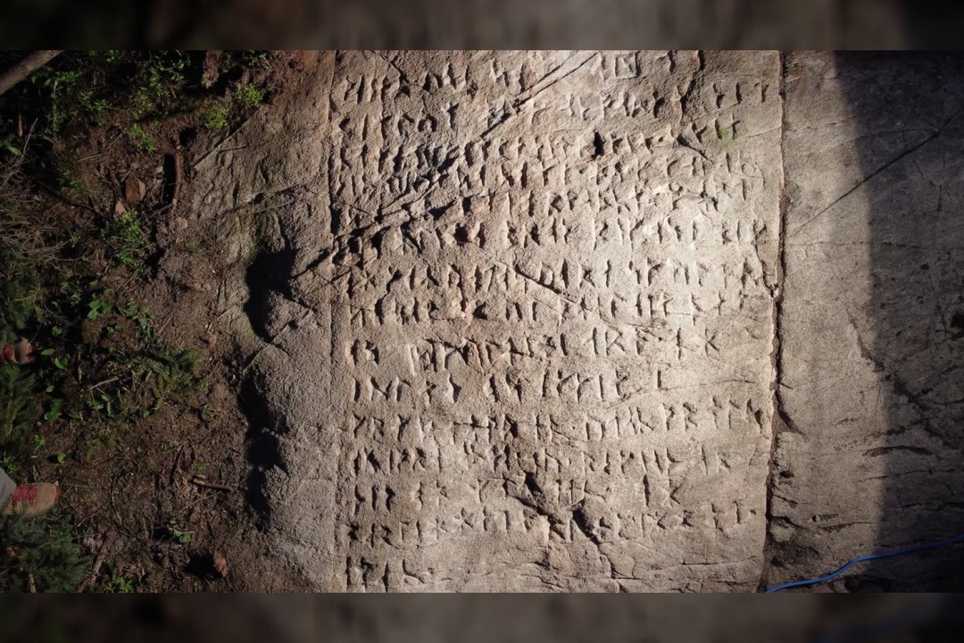 Staigmena miško tankmėje: iššifravę paslaptingus rašmenis archeologai rado tai, ko mažiausiai tikėjosi