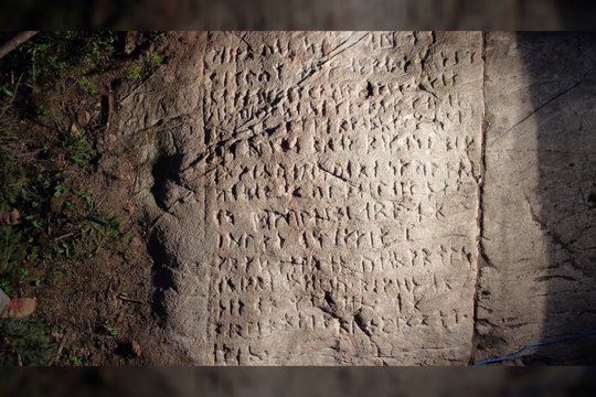 Staigmena miško tankmėje: iššifravę paslaptingus rašmenis archeologai rado tai, ko mažiausiai tikėjosi