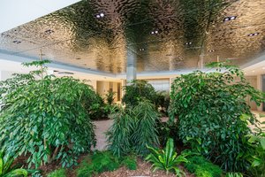 A new green space is set to emerge in the newest Kaunas’s business centre Hermanas