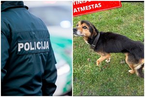 Po kraupiai apleisto šuns mirties – nemalonūs kaltinimai Lietuvos teisėsaugos institucijoms