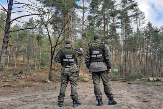 Aplinkosaugininkų dėmesį patraukė karjere sandėliuojama mediena – pradėjo tyrimą