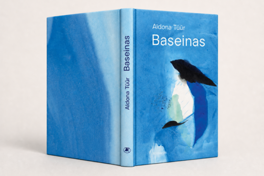 Kaunietiški akcentai naujame Aldonos Tüür romane „Baseinas“