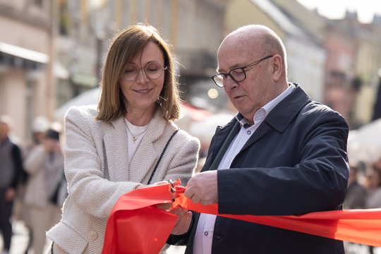 V. Matijošaitis kritiškai vertina Vyriausybės ir parlamento darbą
