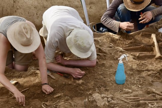 Aptiko griovį, pilną skeletų be galvų – tačiau tai ne žudynių pėdsakas