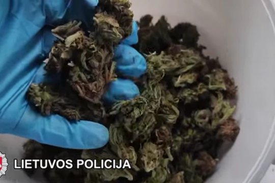 Ukmergės r. didžiausio kada nors aptikto kanapių kiekio trys savininkai siunčiami į teismą
