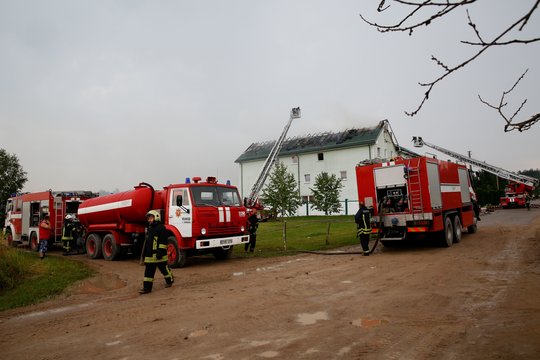 Per perkūniją šie medžiai tampa tikru žaibų taikiniu: daugelis net nežino, kokį pavojų jie kelia