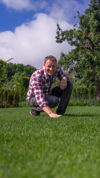 Kokią veją rinktis: išaiškino, kada verta sėti mišinius, o kada – grynas sėklas