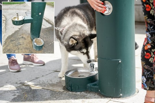 Vieni tvarko, kiti niokoja: „Tai arba vaikų, arba viskuo nepatenkintų pensininkų darbas“