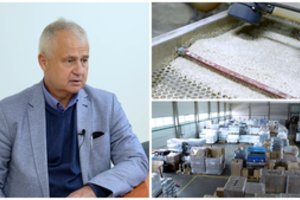 Lietuvių netradiciniai gaminiai keliauja net į Prancūziją: apsaugo namus nuo termitų