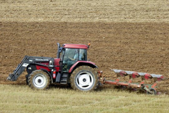Ūkininkams skirs 900 tūkst. eurų rūgščių dirvožemių kalkinimui