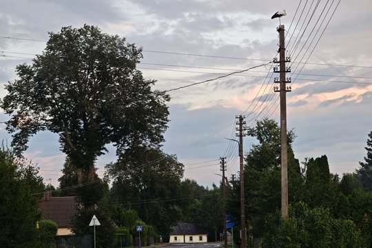 ESO: daugiau kaip 200 klientų vis dar neturi elektros