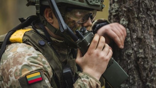 Gynyba išgyvena tam tikrą tranformaciją: prakalbo apie Lietuvos potencialą