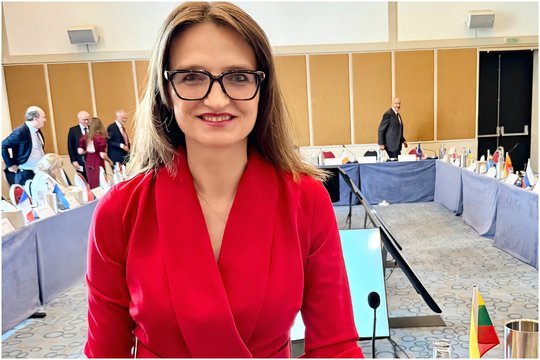 Tarptautinėje konferencijoje pristatyti skaitmeninių teisių apsaugos iššūkiai