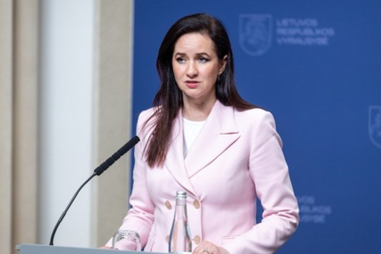 I. Ruginienei gresia nepasitikėjimo procedūra: „Esame nekompetencijos epochoje“