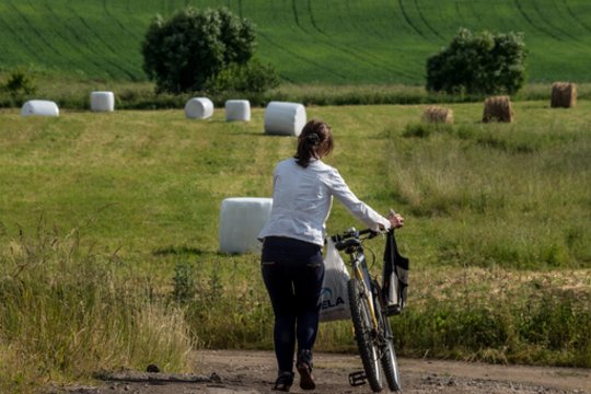 ŽŪM siunčia žinią ūkininkams, vėluojantiems deklaruoti pasėlius: pasakė, ar mažins išmokas