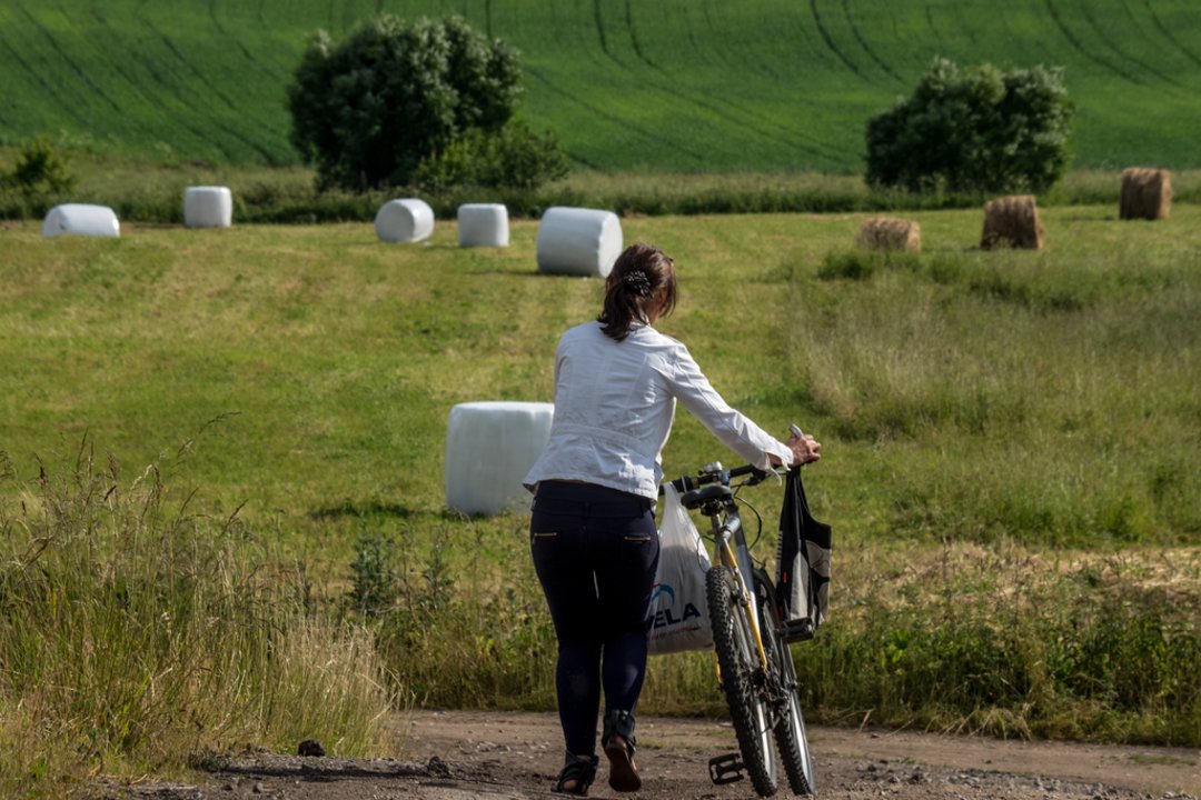 ŽŪM siunčia žinią ūkininkams, vėluojantiems deklaruoti pasėlius: pasakė, ar mažins išmokas