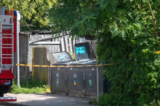 Priimtas sprendimas dėl pernai žiauriai nužudyto 15-mečio: suėmimo laiką lėmė lengvinanti aplinkybė