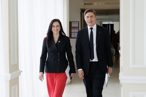 Valdžios dėlionės peripetijos: ko taip delsė M. Sinkevičius ir kodėl I. Ruginienės noras – žingsnis atgal?