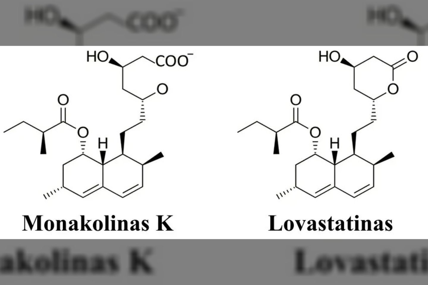 Monakolinas K yra struktūriškai identiška receptiniam vaistui lovastatinui.<br>PubChem iliustr.