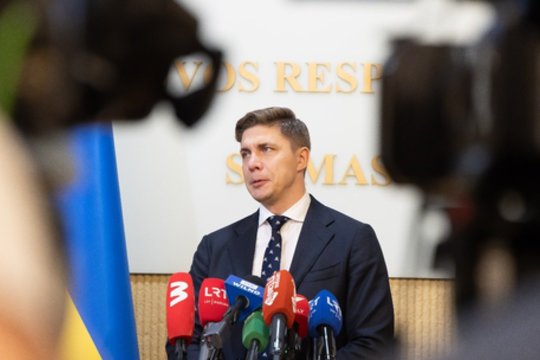 „Neatsirado išeities, ką daryti su I. Ruginiene“: atkreipė dėmesį, ką leido suprasti M. Sinkevičius