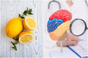 Tyrimas pribloškė: nustatė, kad vitaminas C keičia žmogaus smegenų struktūrą
