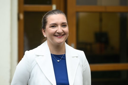 A. Landsbergienė parduoda mokyklų ir darželių tinklą