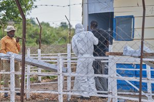 Specialistai sunerimę: pavojingas virusas plinta sparčiau nei tikėtasi