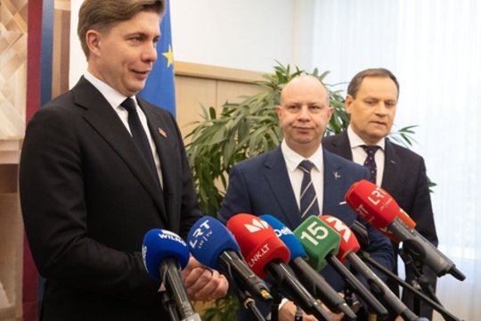 Atkreipė dėmesį, kad ši koalicija gali būti ramesnė: tai lems ne tik sutartyje minimas santykių aiškinimosi punktas