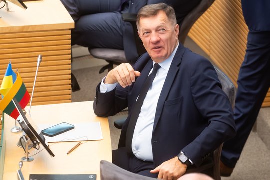 A. Butkevičius: socialdemokratų sprendimas skirti I. Ruginienę į premjeres nebuvo atsakingas