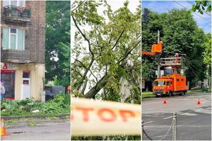 Kaunas po audros: medis užvirto ant daugiabučio ir apgadino balkoną