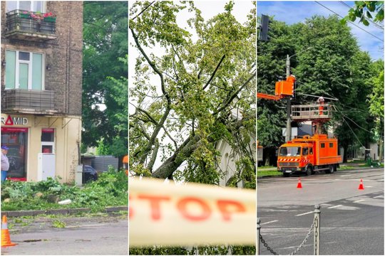 Kaunas po audros: medis užvirto ant daugiabučio ir apgadino balkoną