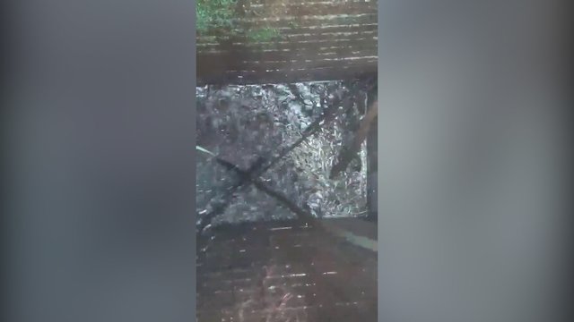 Neeilinė gelbėjimo operacija: baigėsi kitaip, nei tikėtasi