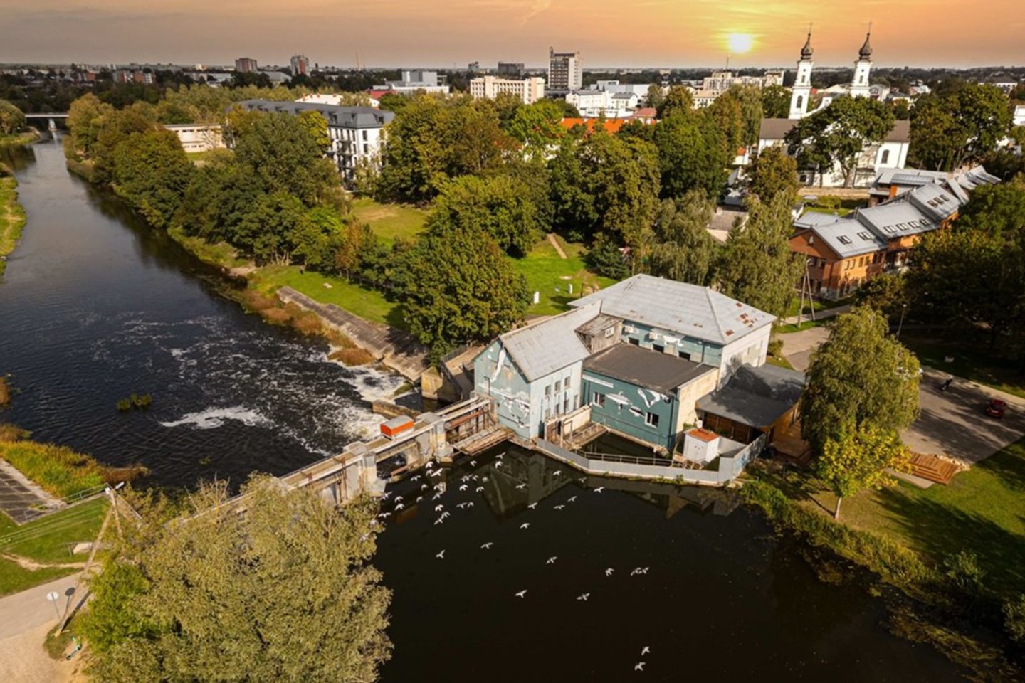 Vasarą Marijampolė tradiciškai tampa atvira meno, muzikos ir kino scena.