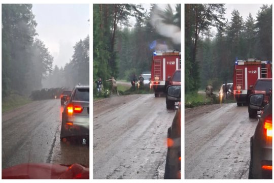 Mirus ugniagesiui prabilo ir medžio šalinimo darbus mačiusi liudininkė: „Kai pravažiavome, visi vyrai buvo gyvi“