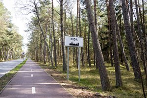 Keleivius Nidoje siūlo pavėžinti neįprasta transporto priemone, tačiau yra vienas „bet“ 