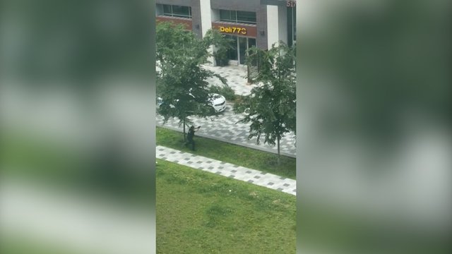 Monrealyje – dramatiškos šaudynės: ginkluotas užpuolikas sukūrė savotišką manifestą
