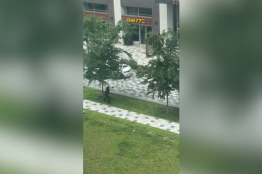 Monrealyje – dramatiškos šaudynės: ginkluotas užpuolikas sukūrė savotišką manifestą