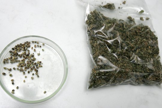 Teismui perduoda byla dėl labai didelio kiekio kvaišalų kontrabandos