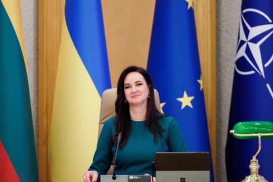 Mano, kad tikroji versija dėl naujojo premjero yra kitokia: permainas lėmė RC istorija