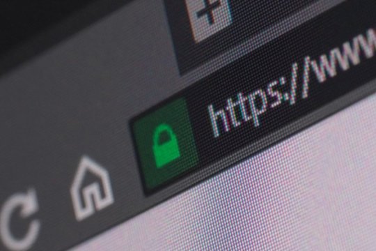 Informacinė savigyna: kaip tikrinti interneto svetainių adresus, šaltinius ir atpažinti klaidinančius metodus?