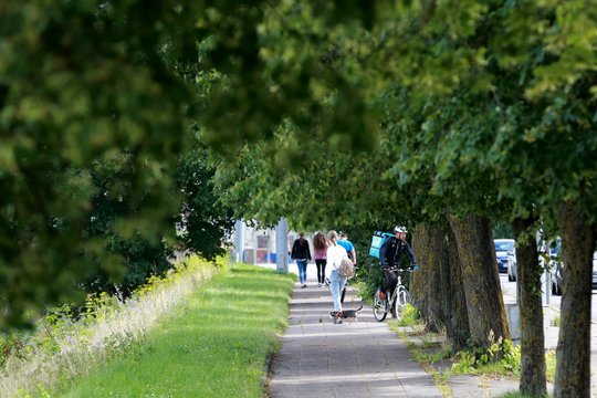 Nugenėti dviratininkams ir pėstiesiems kliudančias šakas – neįmanoma misija: „Gal dar reikės Vatikano palaiminimo?“