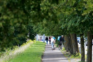 Nugenėti dviratininkams ir pėstiesiems kliudančias šakas – neįmanoma misija: „Gal dar reikės Vatikano palaiminimo?“